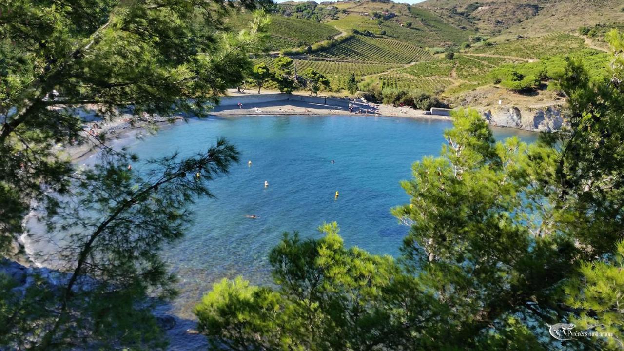 Les Hauts De Порт Вендрес Екстериор снимка