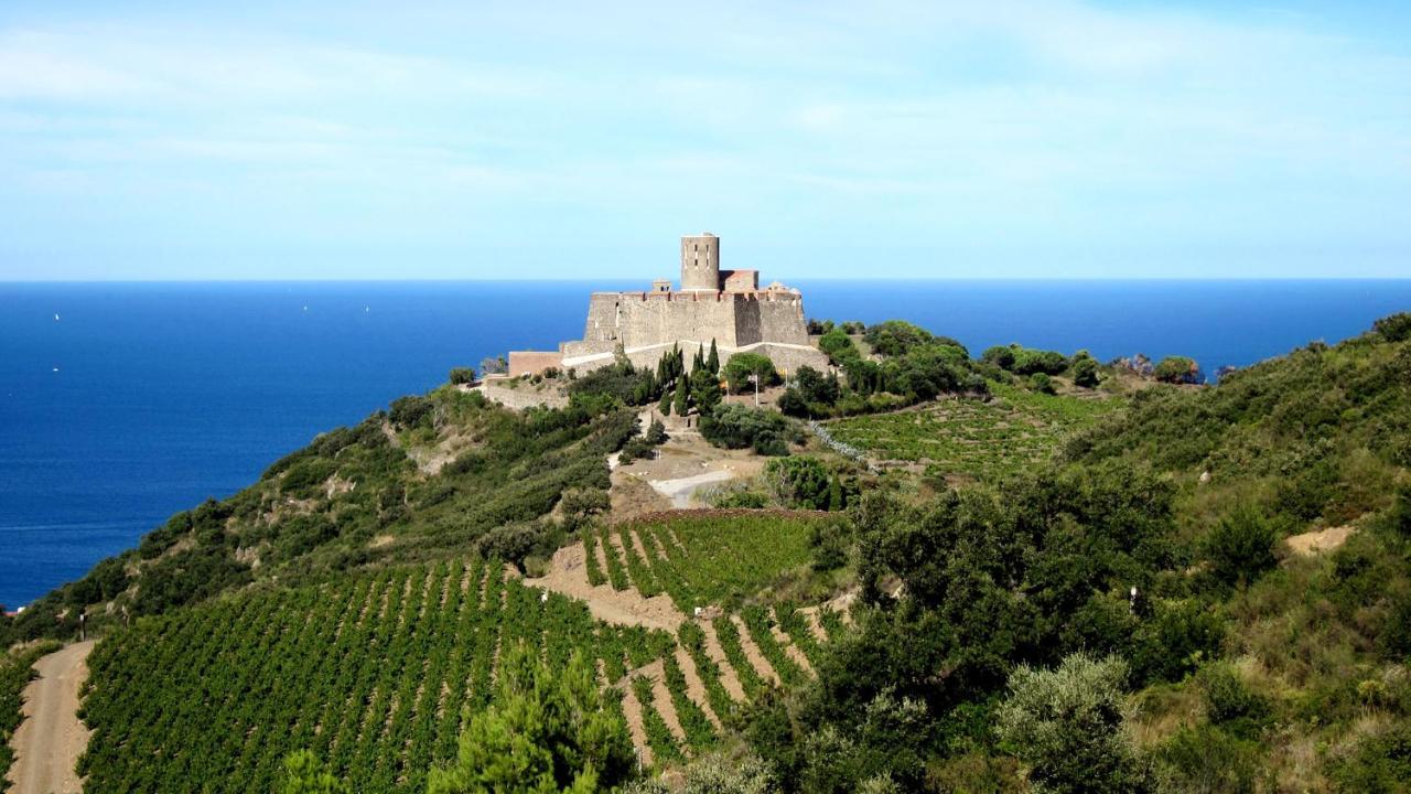 Les Hauts De Порт Вендрес Екстериор снимка